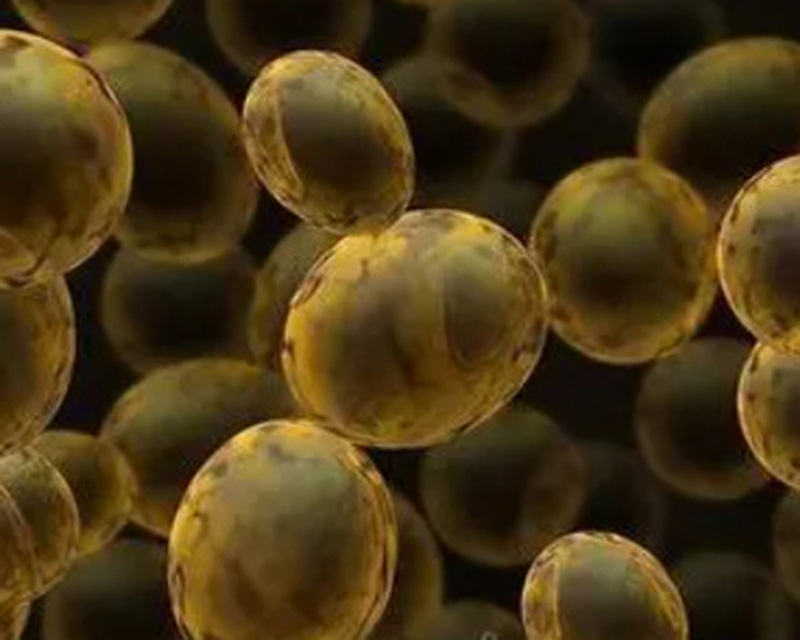 Yeast experiment